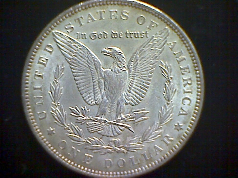 Grade-My-Morgans